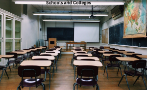 School and Colleges